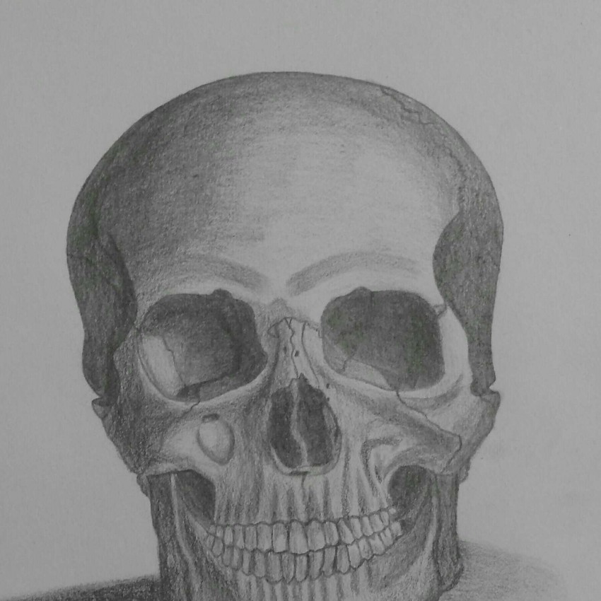 The Skull