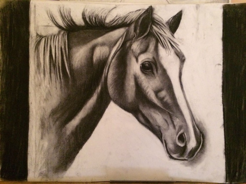 Magic Of The Horse