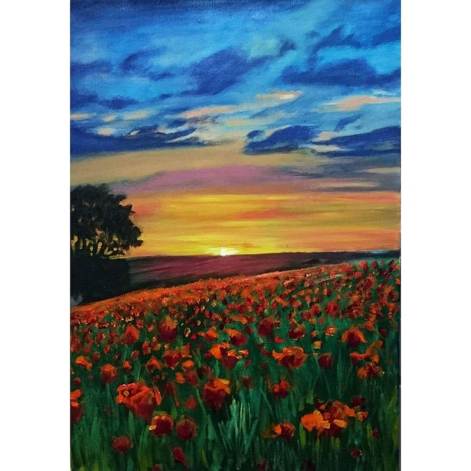 Field Of Flowers