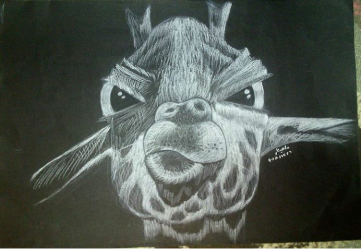 Giraffe
