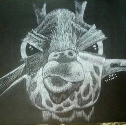 Giraffe