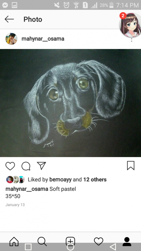 My Dog
