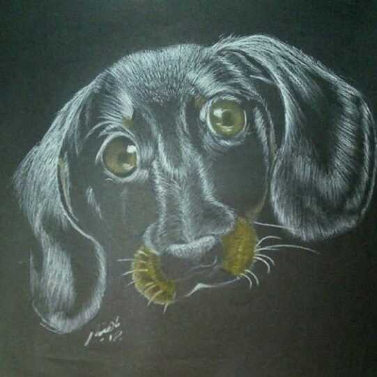 My Dog