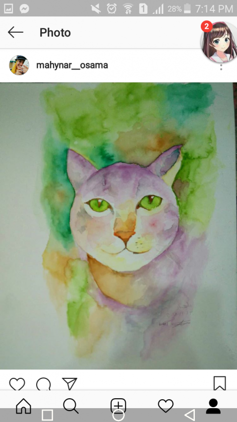 Cat With Green Eyes