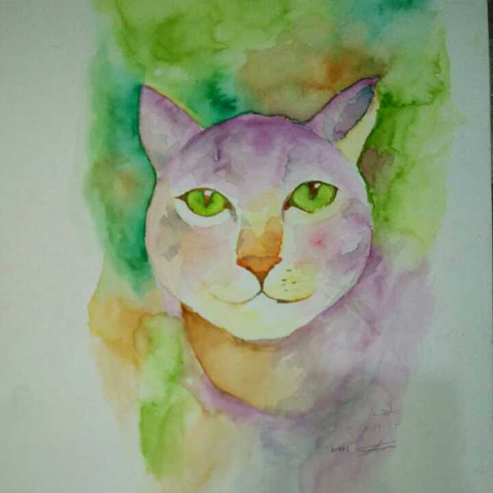 Cat With Green Eyes