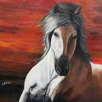 Beauty Of Arabian Horses