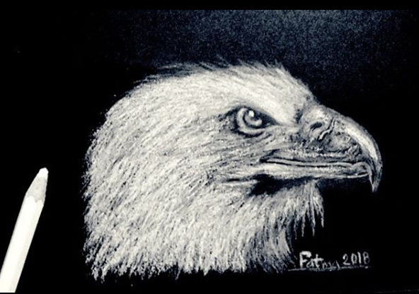 The Hawk