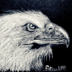 The Hawk