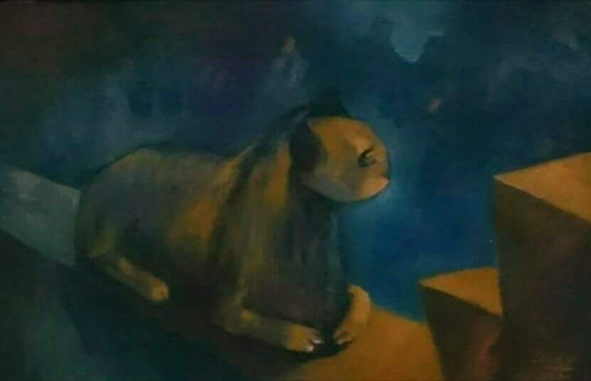 قطة على سطح مسجد