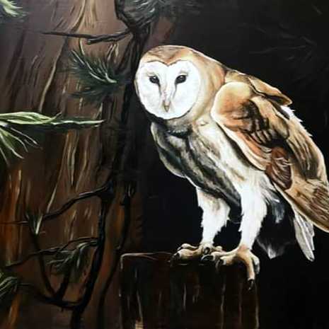 The Owl