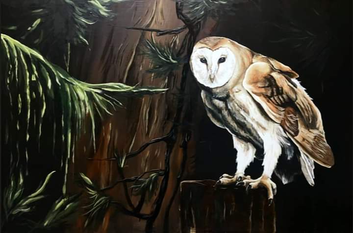 The Owl