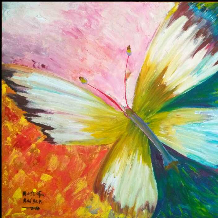 Butterfly