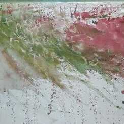 A Splash Of Colors
