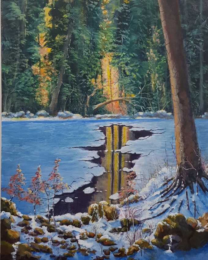 The Magic Of Winter