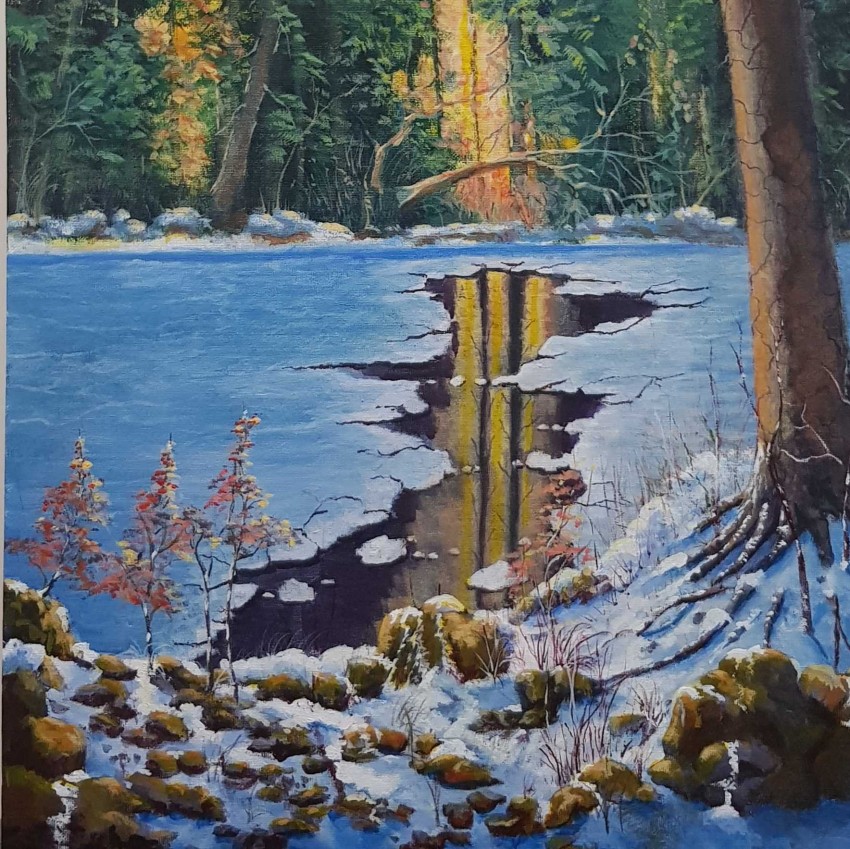 The Magic Of Winter
