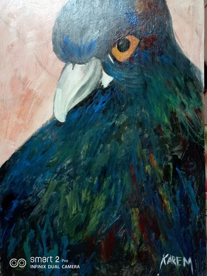 The Love Bird's Look