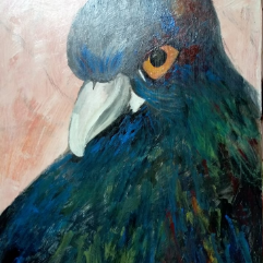 The Love Bird's Look