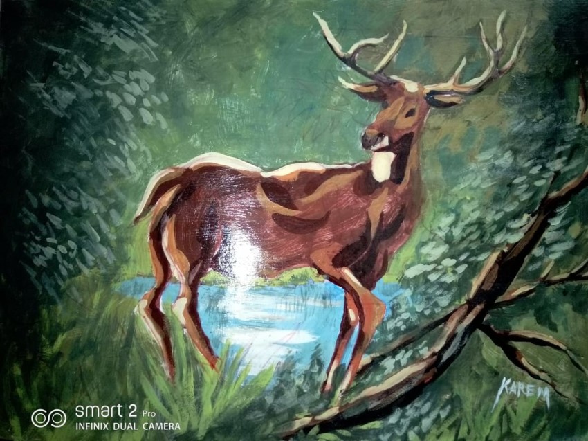 Deer Beside The River