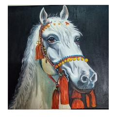 Arabian Horse