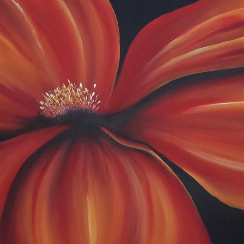 Beautiful Flower
