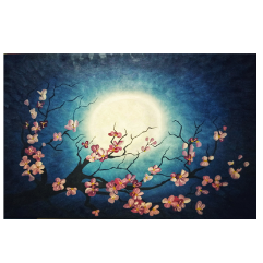 Night and Moon