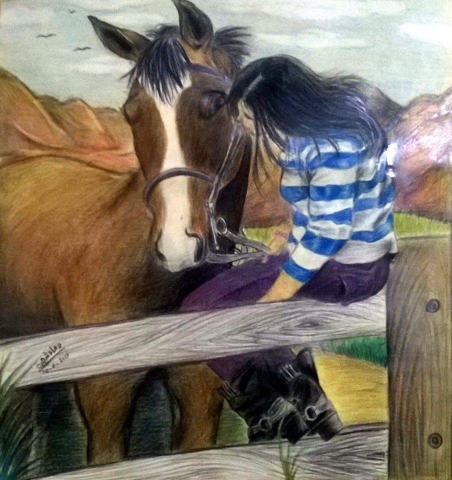 Horses And Me