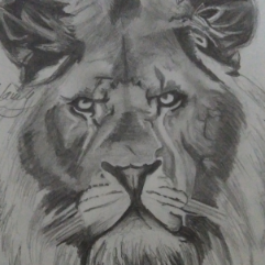 The Lion King