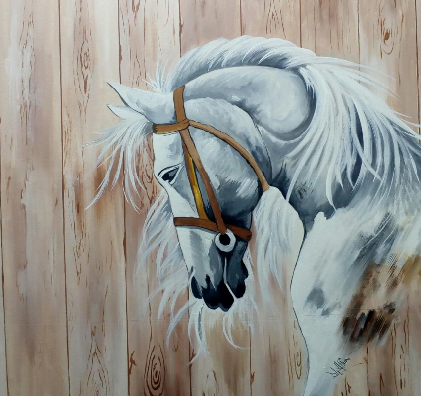 The Arabian Horse