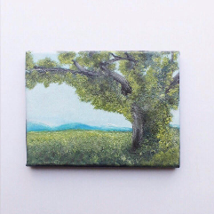 Spring