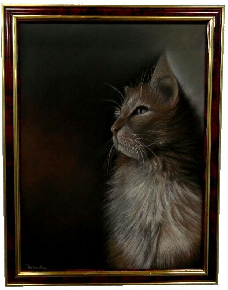 Dreamy Cat