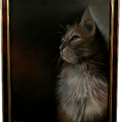 Dreamy Cat