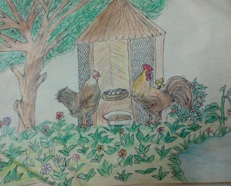 Chicken House