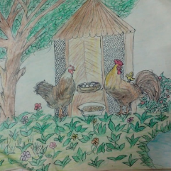 Chicken House