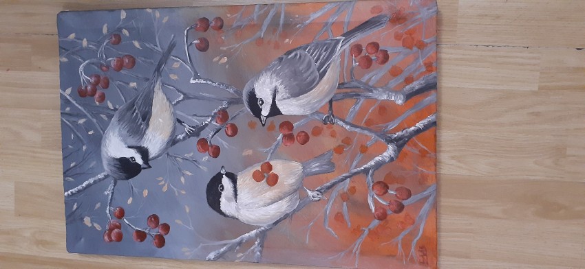 Beautiful Birds