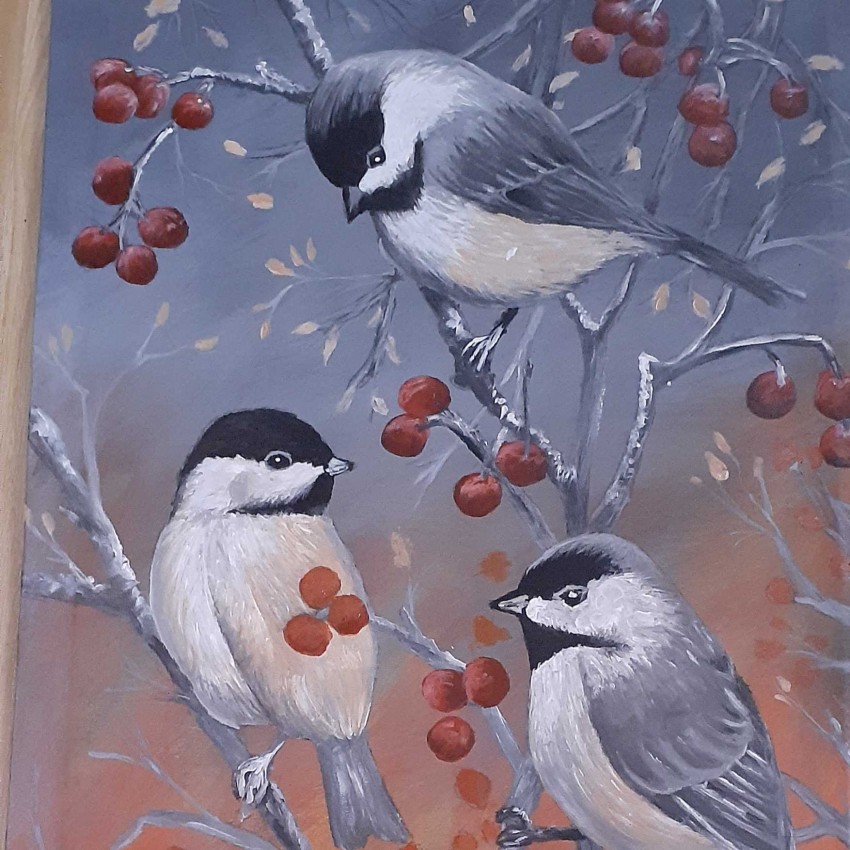 Beautiful Birds