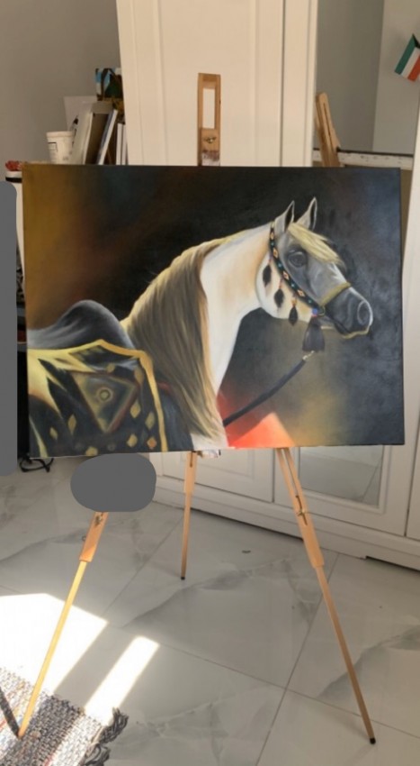 Arabian Horse