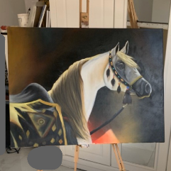 Arabian Horse
