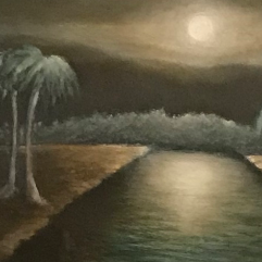 Under The Moonlight