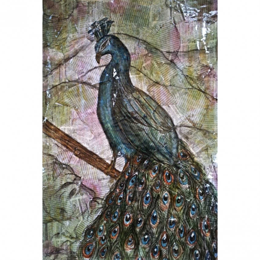 Peacock