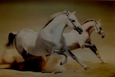 خيول