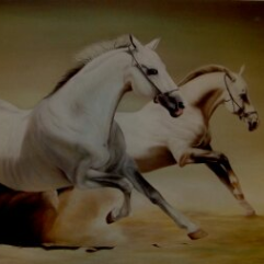 خيول