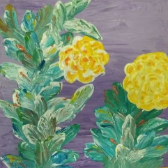 Flower's Brightness