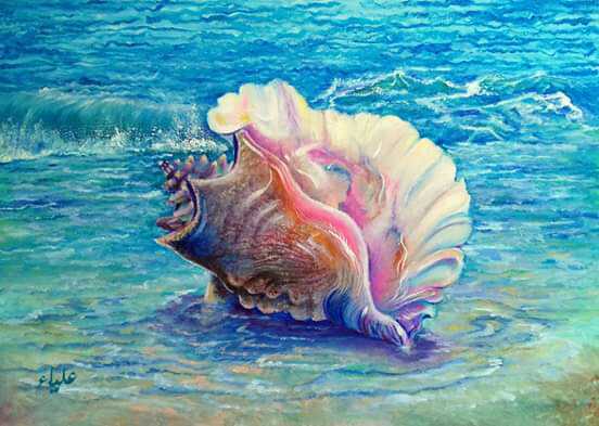 Coquillage De Mer