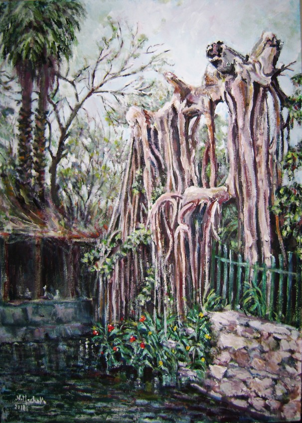 Resilience Of A Tree In The Zoo
