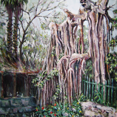 Resilience Of A Tree In The Zoo