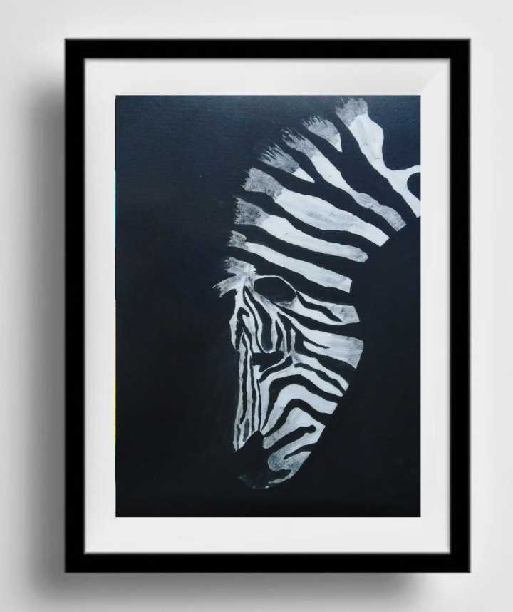 Zebra