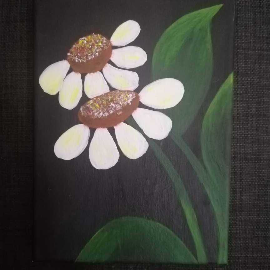 Chamomile