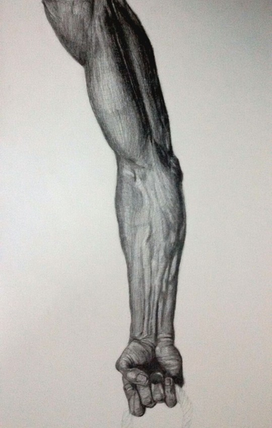 Arm