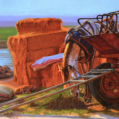 Harvest Season