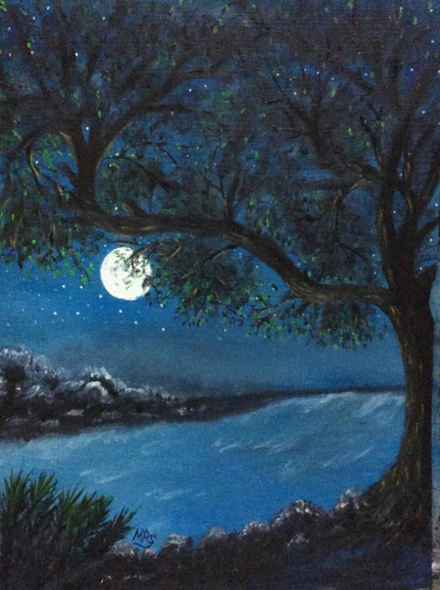 Moonlit Night